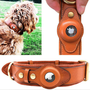 Halsband für Haustiere