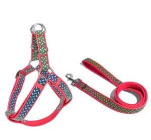 Harnais et laisse Harness and Leash Set