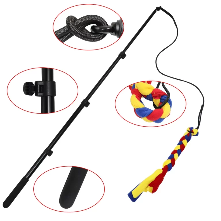 What Pet toys are best for dogs?DOG FLIRT POLE