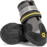 Dog Boots