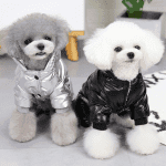 dog clothes