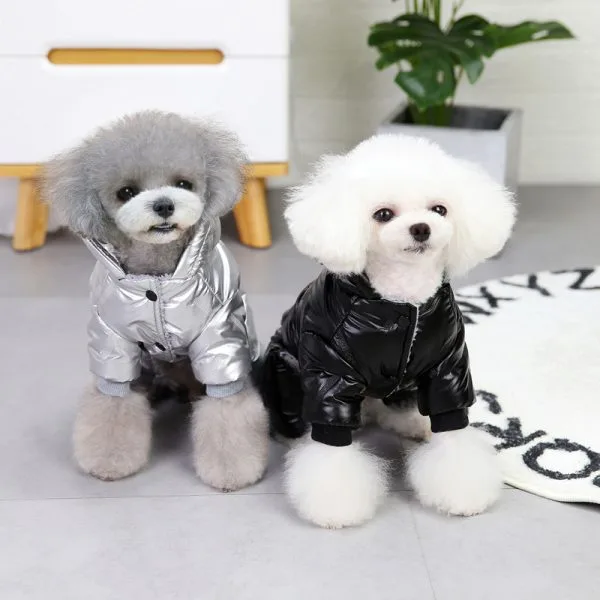 dog clothes for small dog New design Teddy Winter Pet Waterproof Dog Coat Hoodies - Image 3