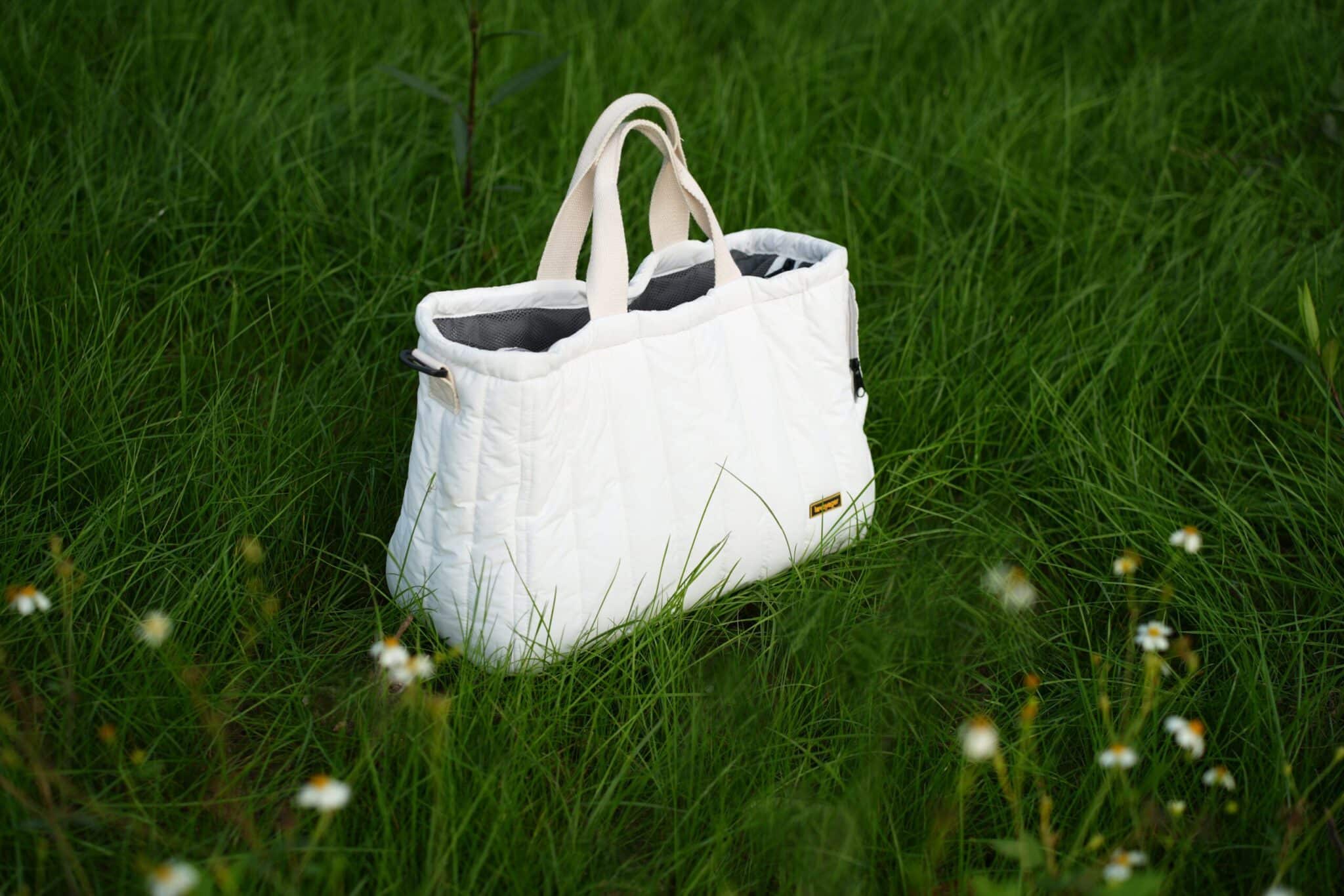 pet carriers and bags