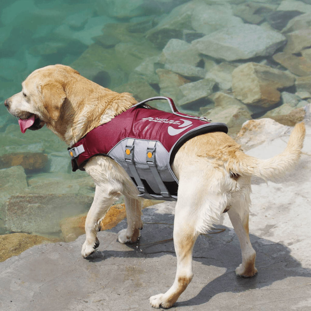 pet life jacket suitable