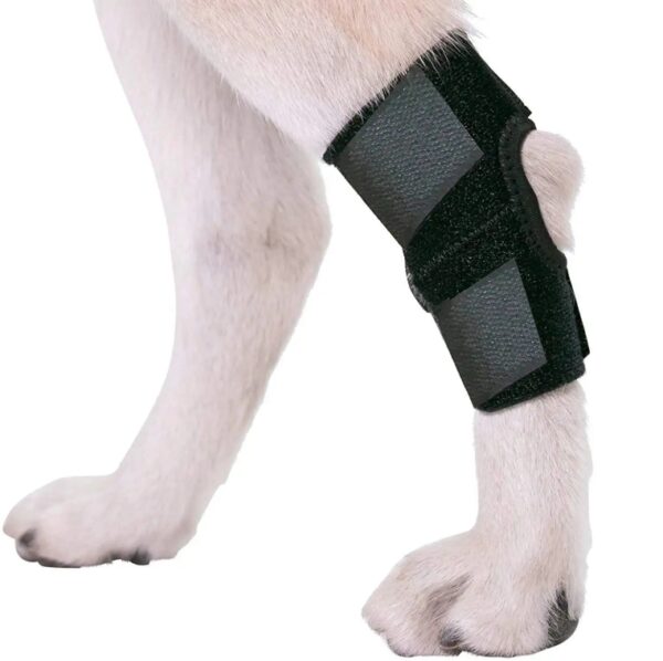 The spring knee brace Adjustable Dog Leg Brace Kneecrap