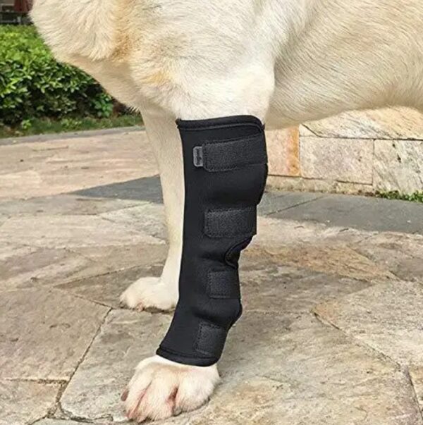 Hind Leg Compression Sleeve Protective dog brace Knee Brace Dog Leg Wraps