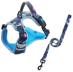 Dog large Harness Set Training tough Harness