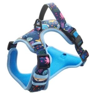 Dog large Harness Set Training tough Harness