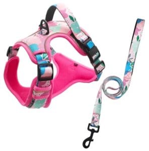Dog large Harness Set Training tough Harness