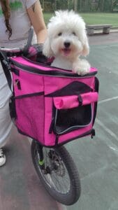Bicycle Pet Carrier