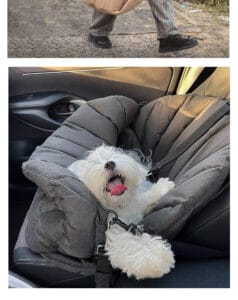 Pet Travel Carrier Bag Printed Small Animal Shoulder Carrier