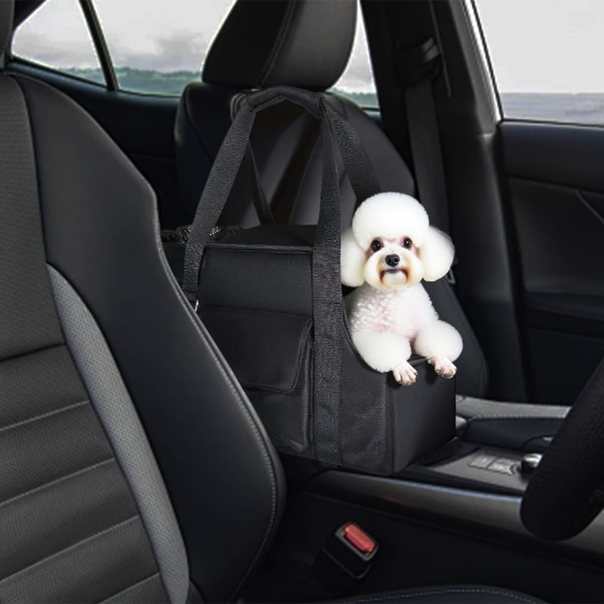 Transportbox für Haustierezusammenklappbarer Reiseträger für Haustiere Pet Portable Folding Travel Carrier